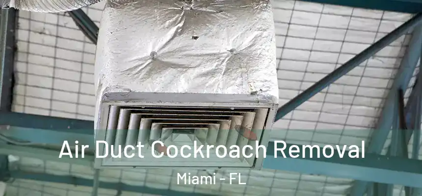 Air Duct Cockroach Removal Miami - FL