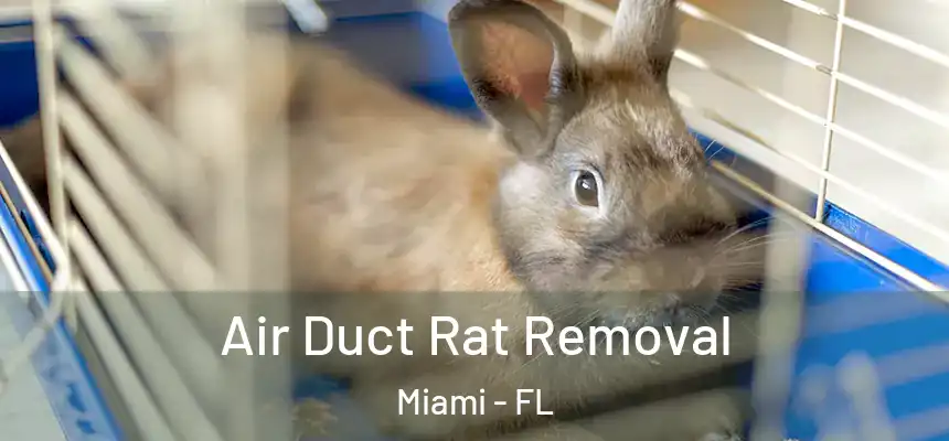 Air Duct Rat Removal Miami - FL
