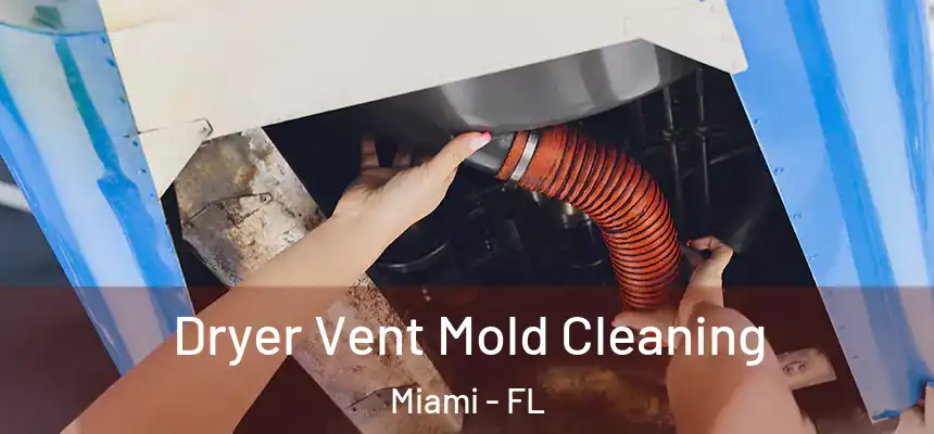 Dryer Vent Mold Cleaning Miami - FL