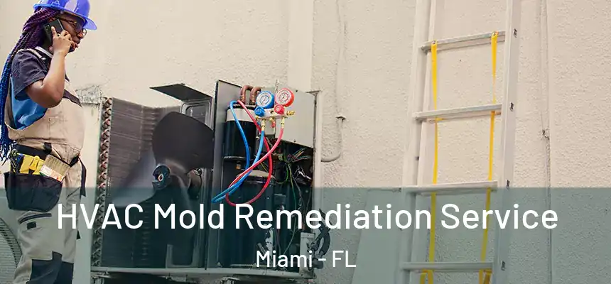 HVAC Mold Remediation Service Miami - FL