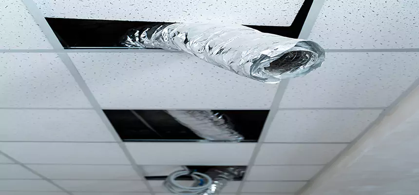 Affordable HVAC Sanitizing After Pest Removal in Miami