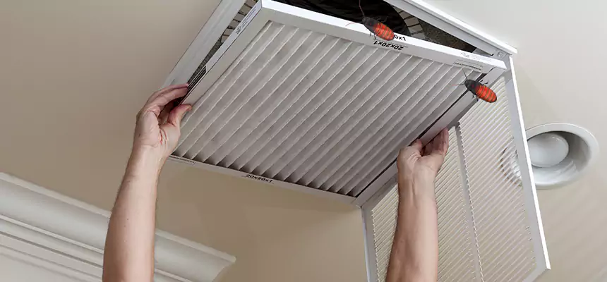 Our Insect Removal from Air Ducts Services in Miami, FL