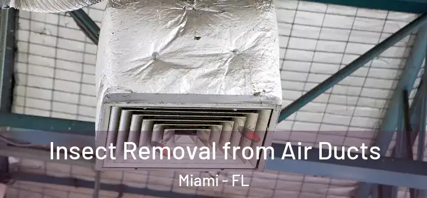 Insect Removal from Air Ducts Miami - FL