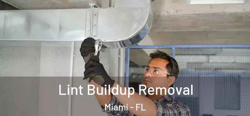 Lint Buildup Removal Miami - FL
