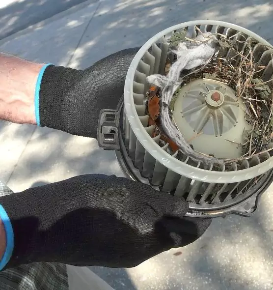 About Air Duct Mice Removal in Miami, FL