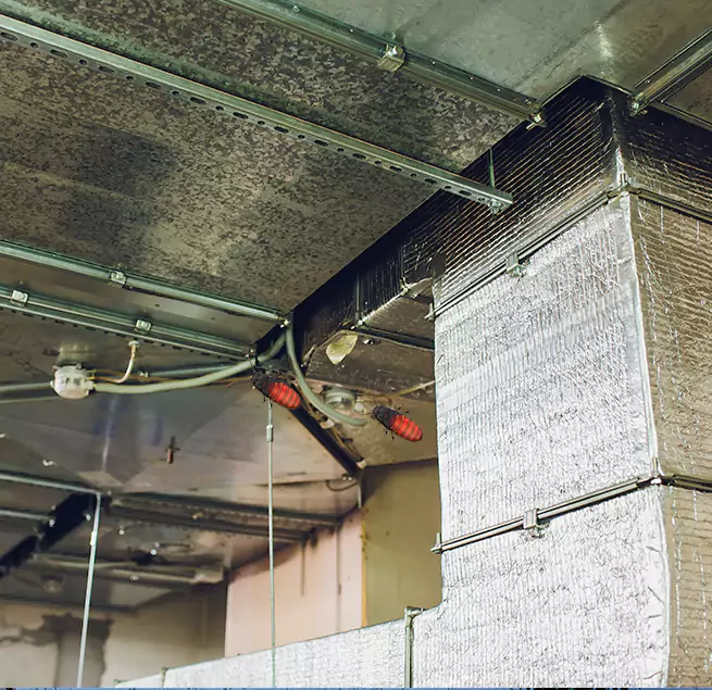 Why Homeowners & Businesses Trust Us in Miami, FL?