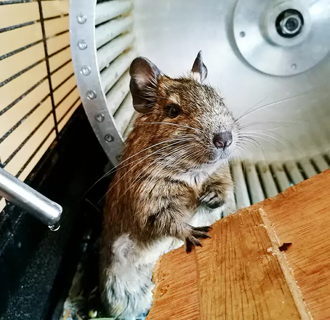 Why Homeowners & Businesses Trust Us Miami, FL