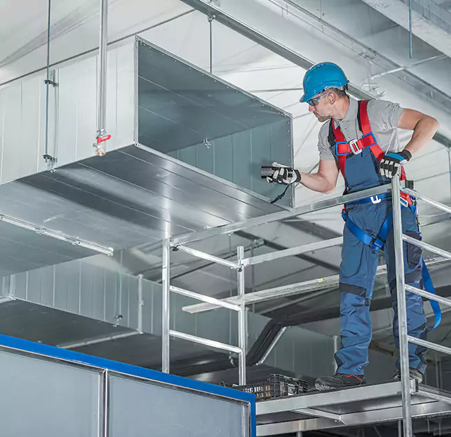 Why Homeowners & Businesses Trust Us in Miami, FL?