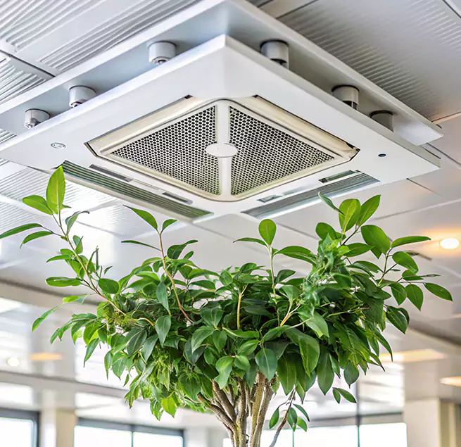 Why Homeowners & Businesses Trust Us in Miami, FL