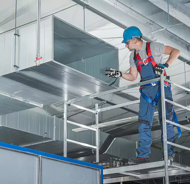 Why Homeowners Businesses Trust Us in Miami, FL