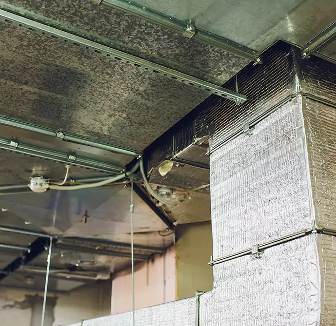 Why Homeowners & Businesses Trust Us in Miami, FL?