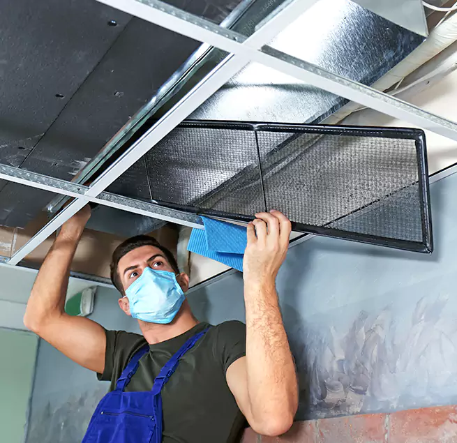 Why Homeowners & Businesses Trust Us in Miami, FL?