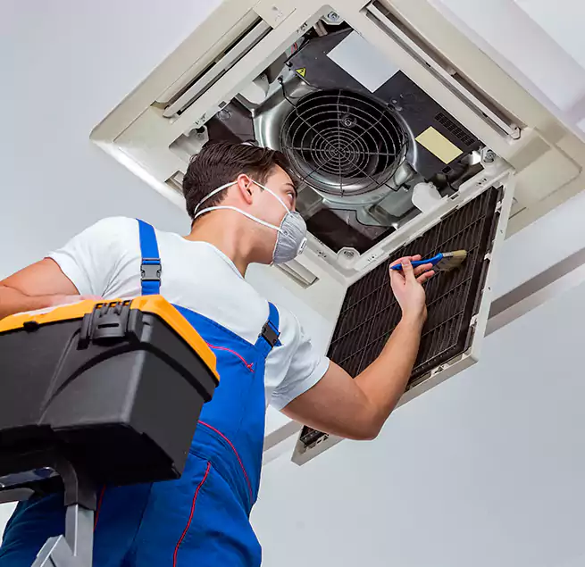 Why Homeowners & Businesses Trust Us in Miami, FL?